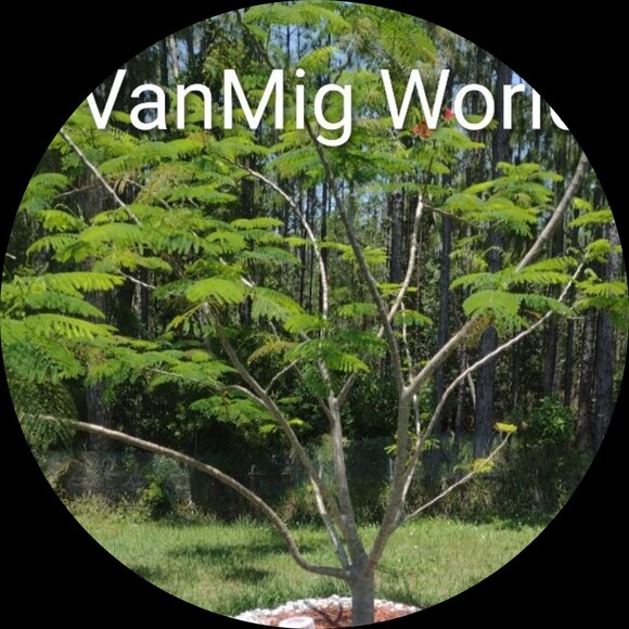 vanmigworld